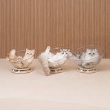 Lit pour chat - panier transparent chat-Taille S-M-L | ConfortPremium chat doux