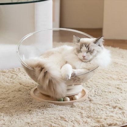 Lit pour chat _panier transparent chat avec chat qui dort | ConfortPremium chat doux