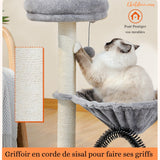 PETIT ARBRE A CHAT a griffoir