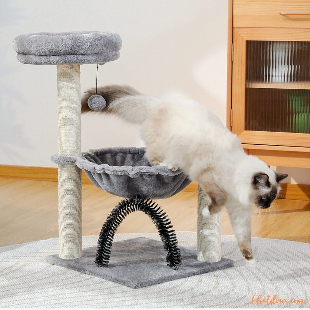 petit arbre a chat | adapté pour les petits espaces – chat doux