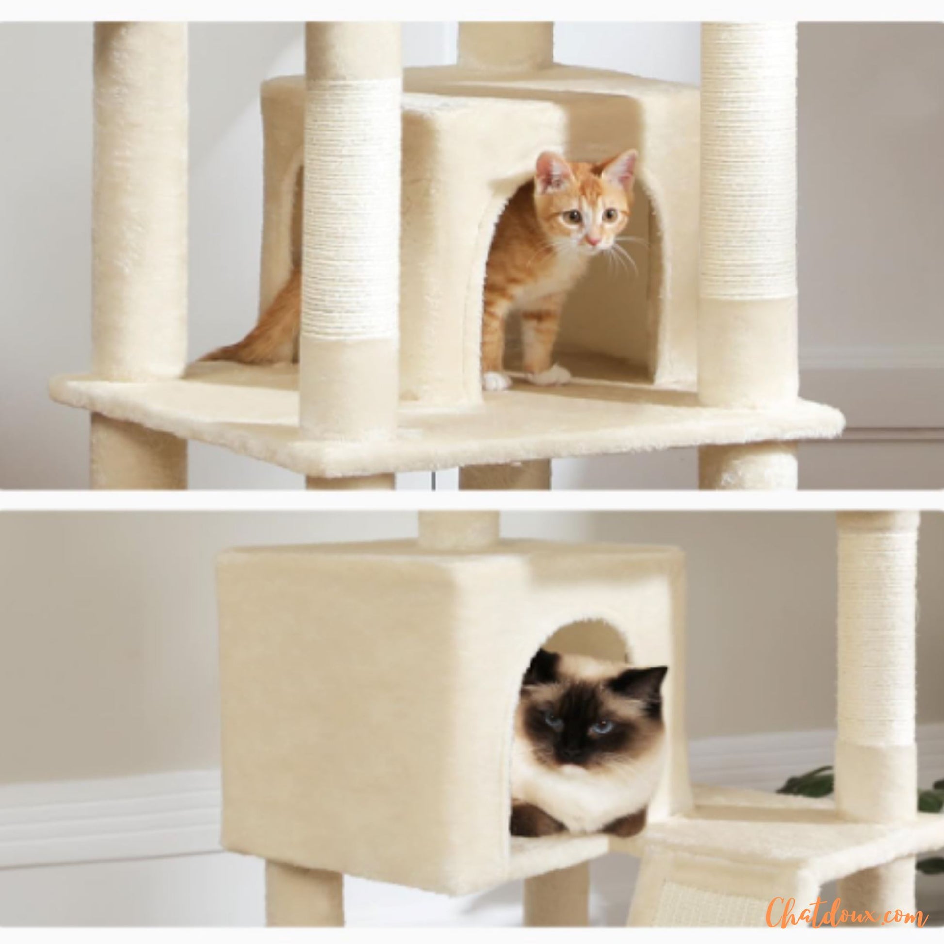 arbre à chat | TopTry™ chat doux