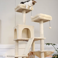 arbre-a-chat-perchoirs