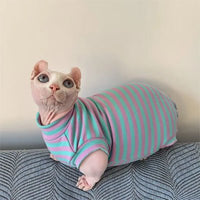 Body pour chat | ComfortCare chat doux