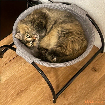 chat-dans-Hamac-pour-chat-Hamdort