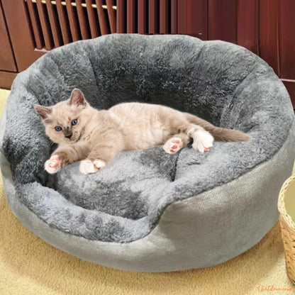 chaton-dans-un-Coussin-chat-CoconFelin