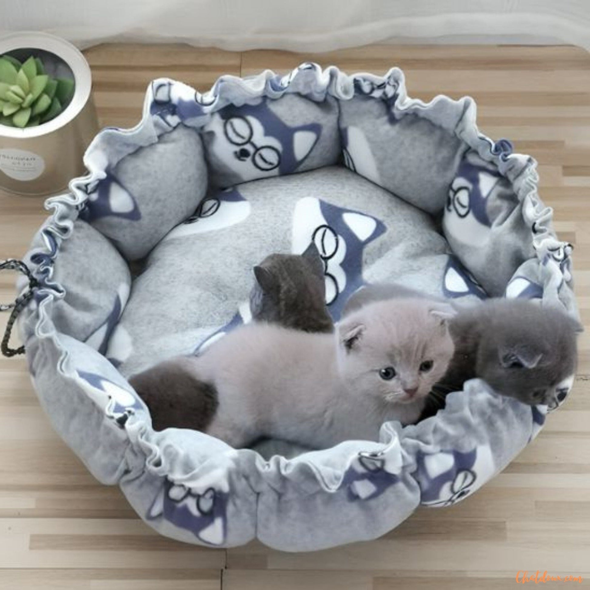 Coussin chat | Catych™ chat doux