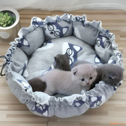 Coussin chat | Catych™ chat doux