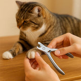 Coupe griffe chat | Professionnel chat doux