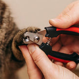 Coupe griffe Chat | SécuriCut chat doux