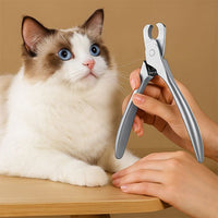 Coupe griffe chat | Professionnel chat doux