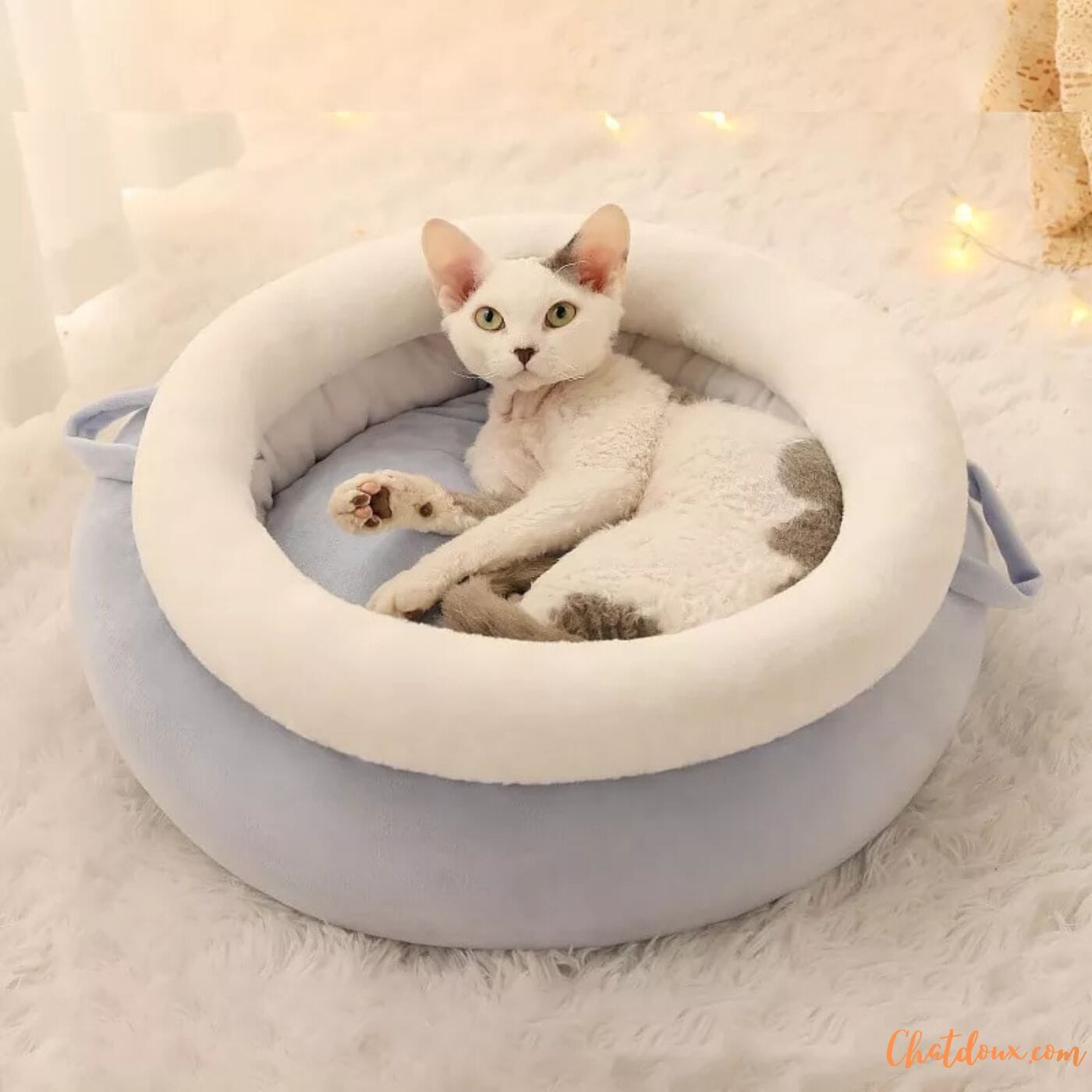 coussin-pour-chat-confortable_lidoux