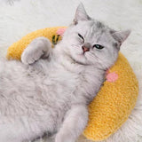 Coussin pour chat | CouChat chat doux