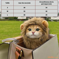 DEGUISEMENT CHATS | DEGUISEMENT HALLOWEEN CHAT | PERUQUE HALLOWEEN | ChatLion™ chat doux