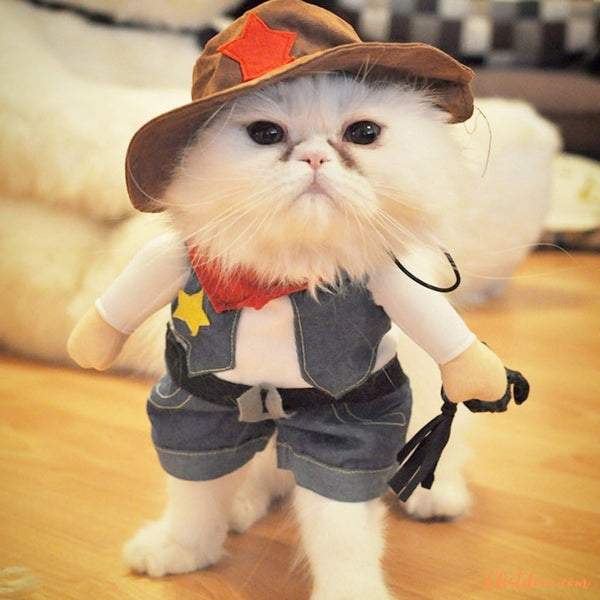 deguisement-halloween-chat-blanc