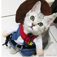 deguisement-halloween-chat-migon