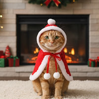 Déguisement pour Chat | HooCat chat doux