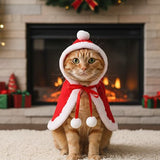 Déguisement pour Chat | HooCat chat doux