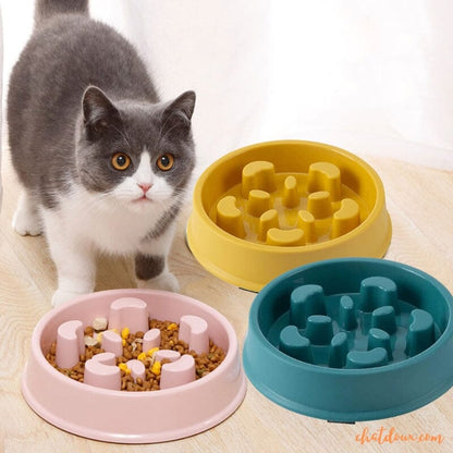 gamelle chat rose vert et jaune