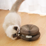 griffoir chat et jouet