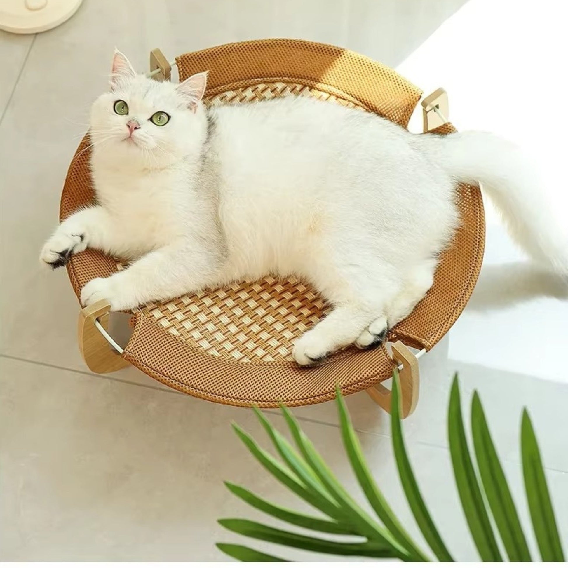 hamac pour chat - Hamac en bois | ZenRo™ chat doux