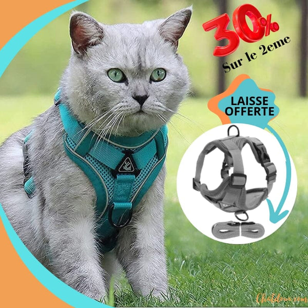 Harnais chat anti fugue | CatOut™ chat doux