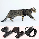 Harnais pour chat | HC chat doux
