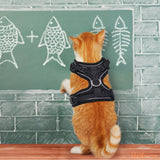 Harnais pour chat | HC chat doux