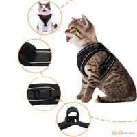Harnais pour chat | HC chat doux
