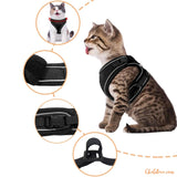 Harnais pour chat | HC chat doux