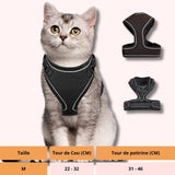 Harnais pour chat | HC chat doux