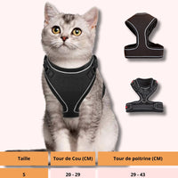 Harnais pour chat | HC chat doux