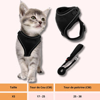 Harnais pour chat | HC chat doux