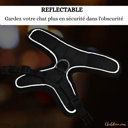Harnais pour chat | HC chat doux
