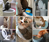 Kit d'entrainement pour chat - Apprendre à votre chat d'aller au toilette chat doux