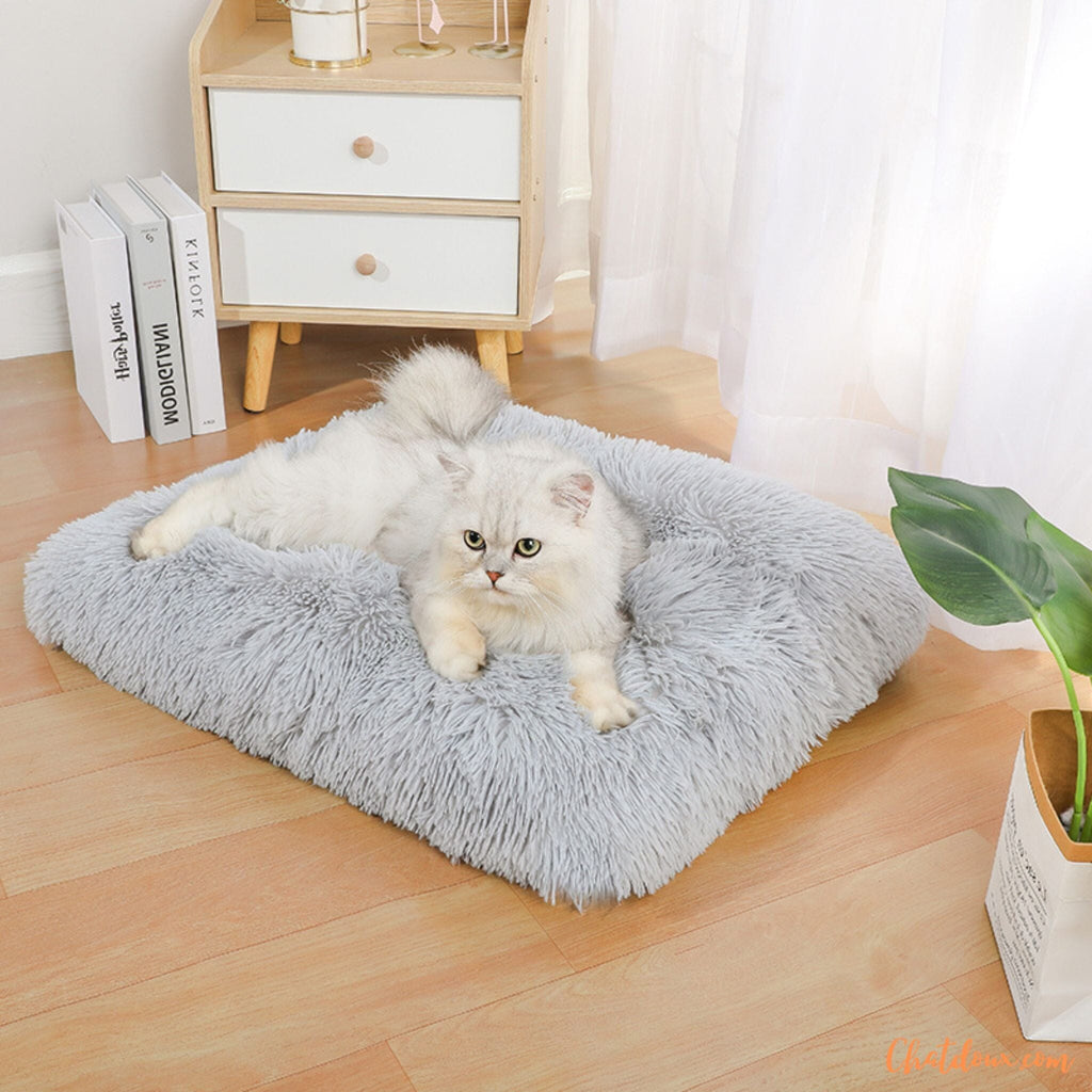 Lit pour chat | Triangris – chat doux