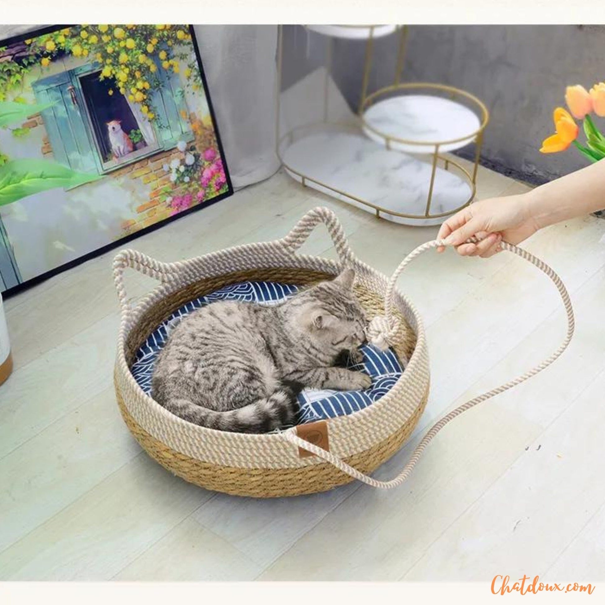 panier-chat-a-balle