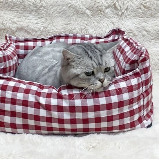 Panier pour chat | Confort Design chat doux