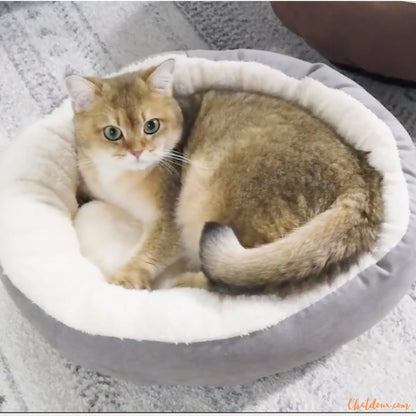 panier-chat-chaud