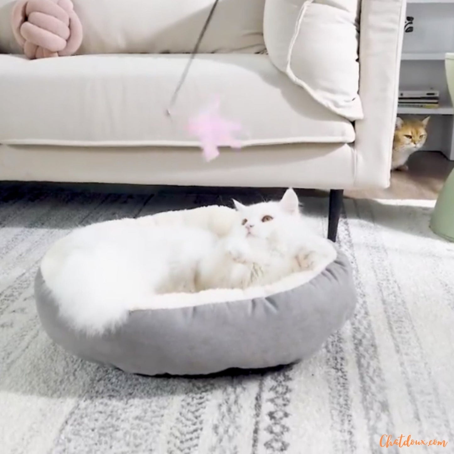 panier-chat-confort