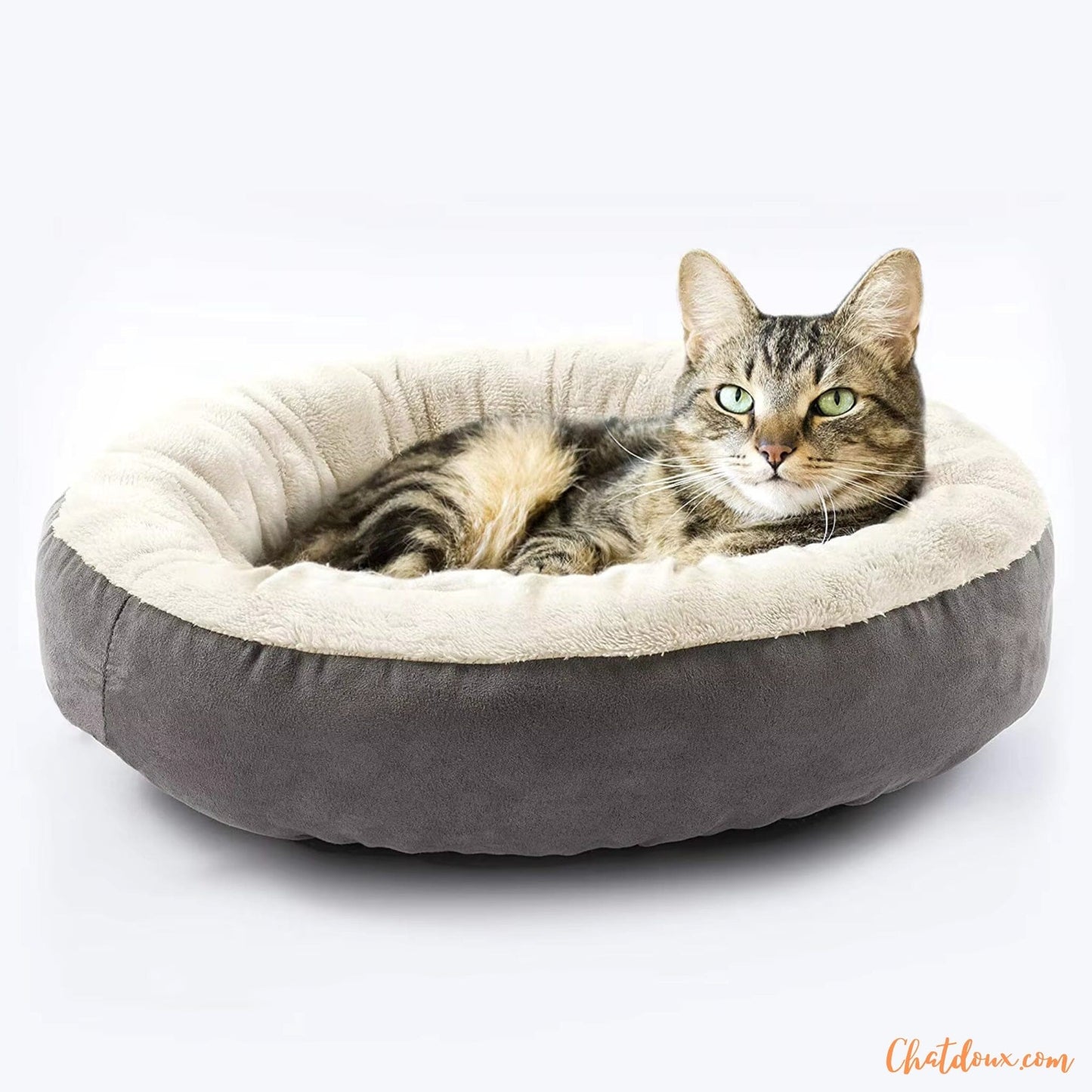 panier-chat-douillet-gris