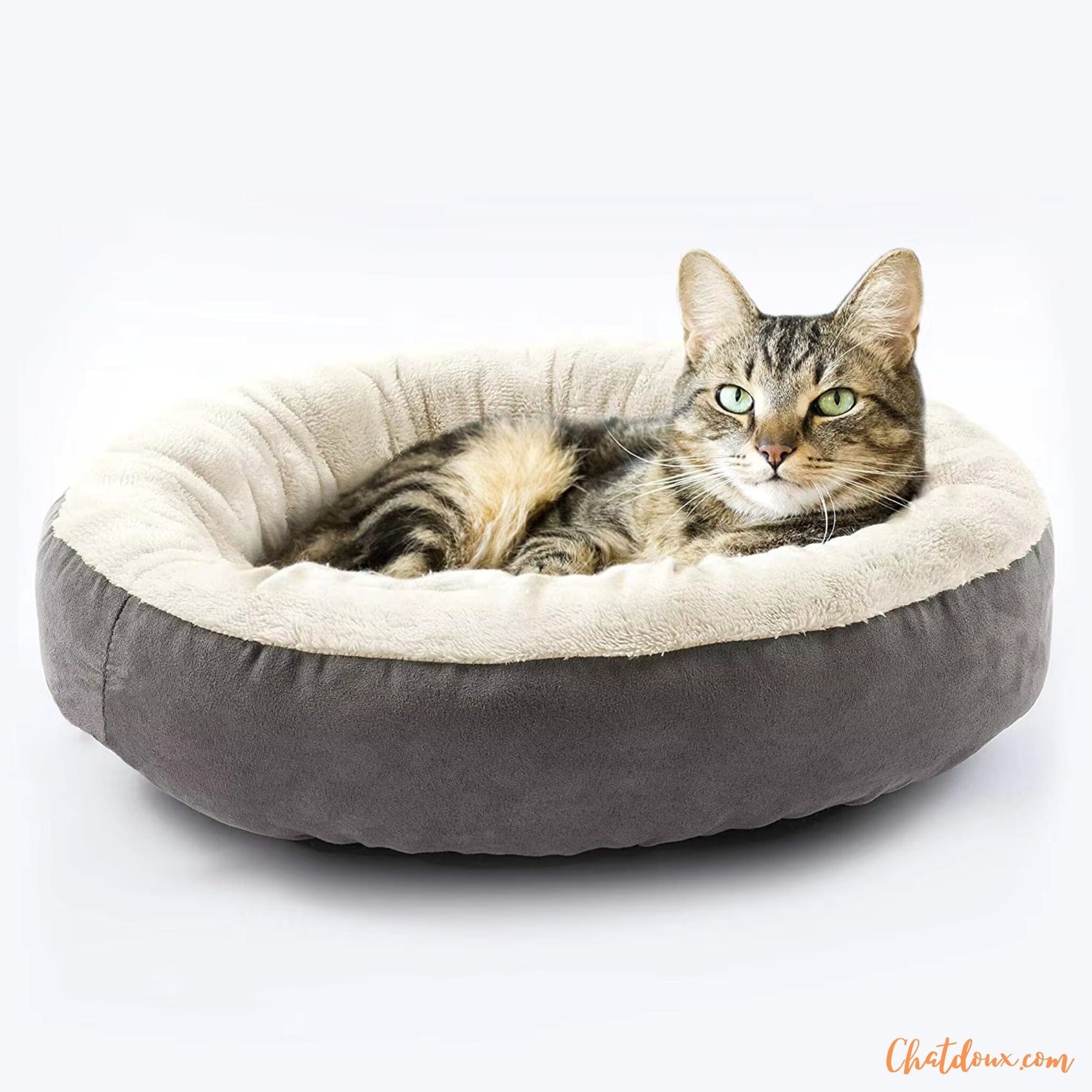 panier-chat-douillet-gris