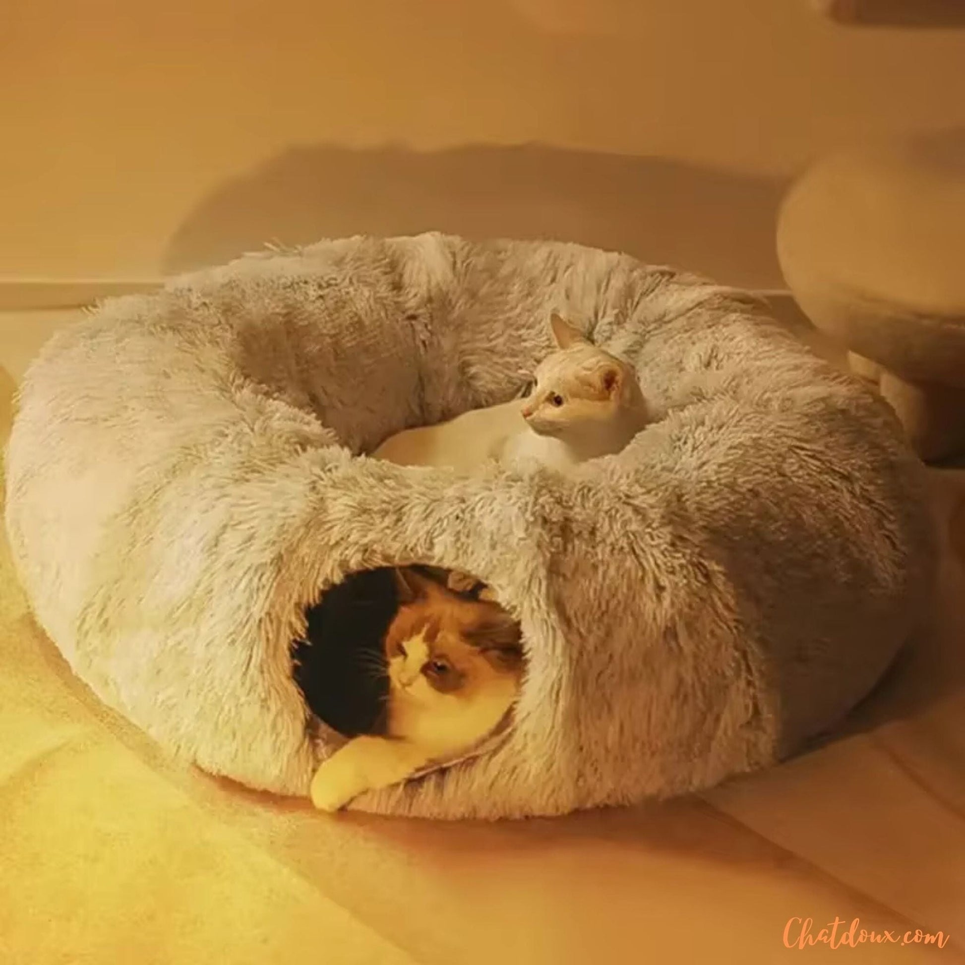panier-chat-repos-et-amusement-pantun