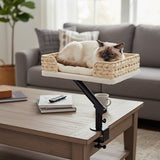 Panier Chat - Confortable et Design chat doux