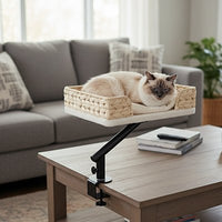 Panier Chat - Confortable et Design chat doux