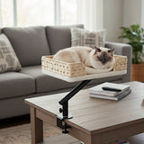 Panier Chat - Confortable et Design chat doux