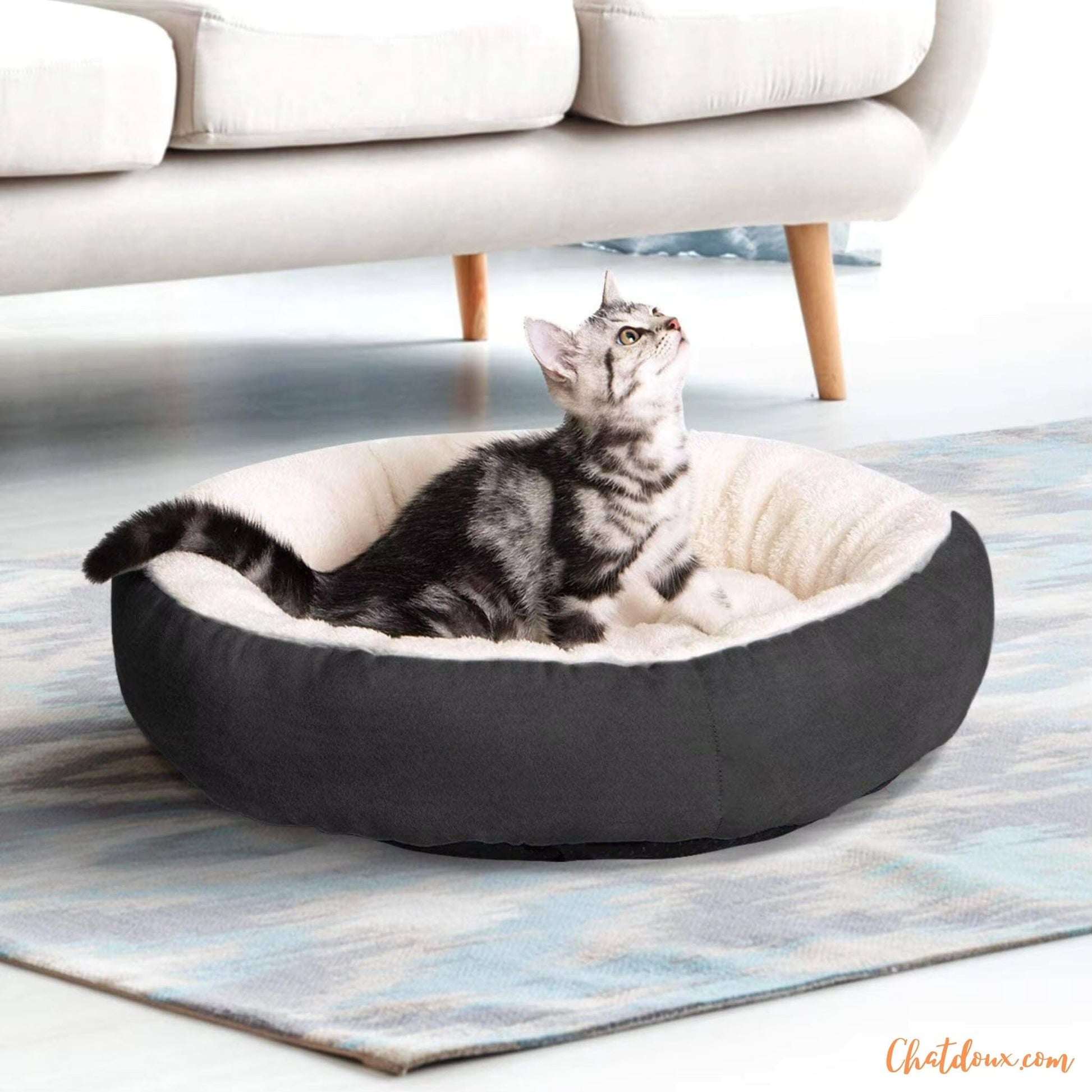 panier-chaton-douillet-gris