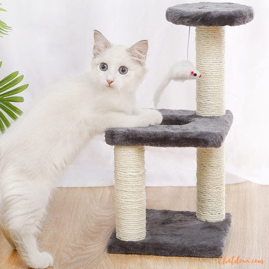 Petit arbre a chat Maron chatdoux