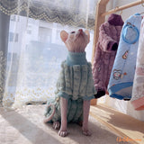 pull-pour-chat-bleu
