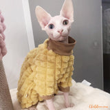 pull-pour-chat-sphynx