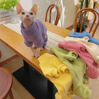 Pull pour Chat | Douillet chat doux
